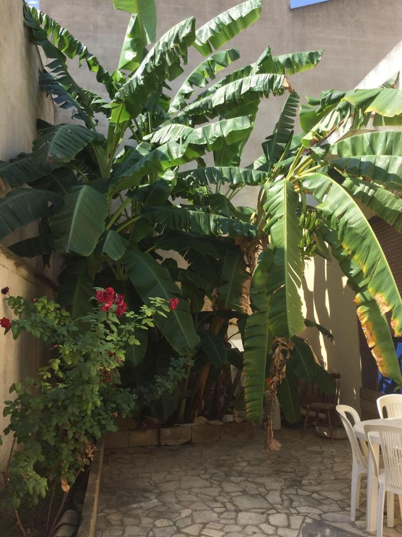 U' Iazzu Bed & Breakfast Avola Exterior photo