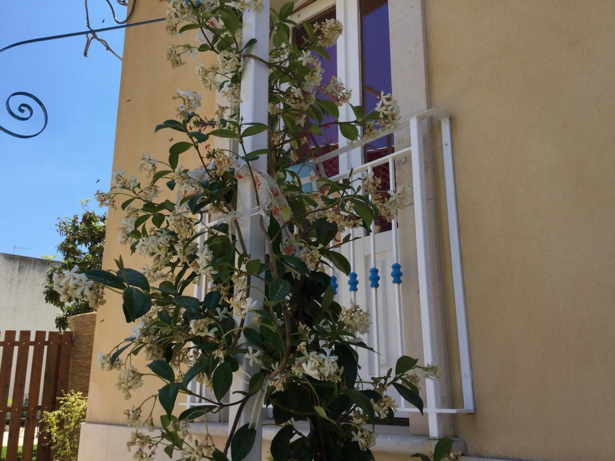 U' Iazzu Bed & Breakfast Avola Exterior photo